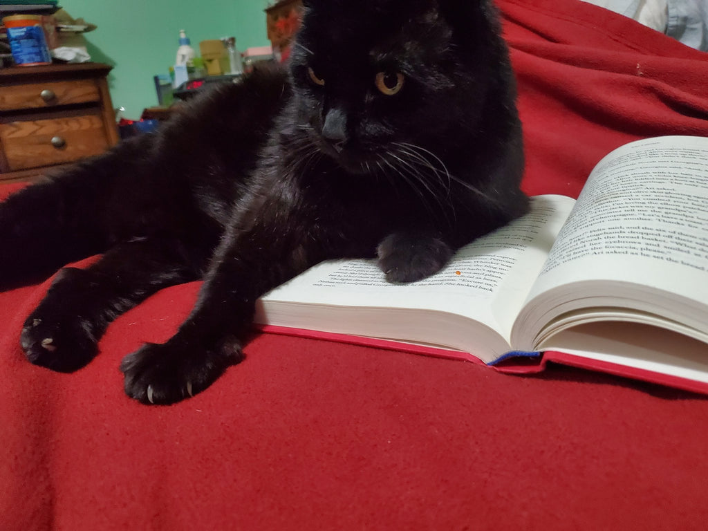 3 books the cat recommends