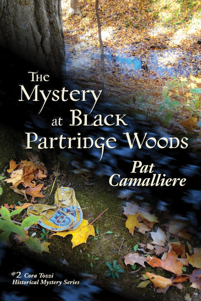 The Mystery at Black Partridge Woods, by Pat Camalliere
