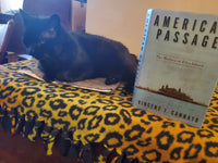 American Passage: The History of Ellis Island, by Vincent Cannato